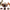 Magic Cat Scratch Organ Board Cat Toy with Ball Cat Grinding Claw Cat Climbing Frame Kitten round Corrugated Cat Scratching Toy