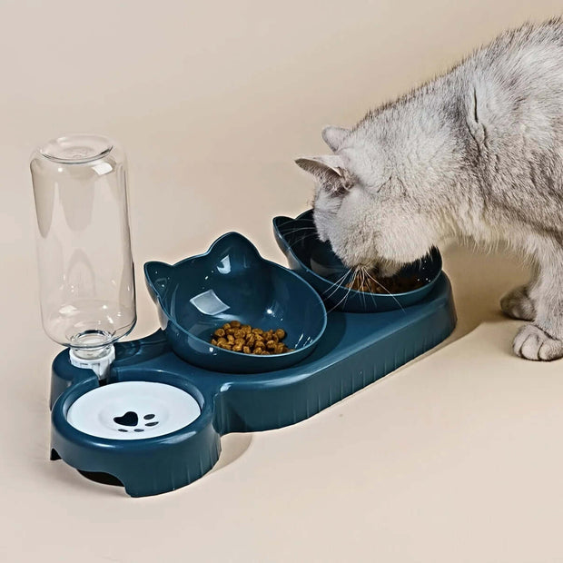 Gray cat using a 3-in-1 pet bowl set with a water feeder designed for neck protection and ergonomic eating.
