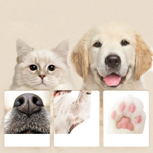 Image of a cat and dog alongside close-ups of unique animal features including noses and paws.