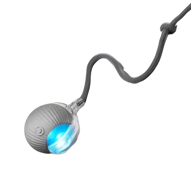 Smart Rolling Dog Ball – Rechargeable Interactive Toy