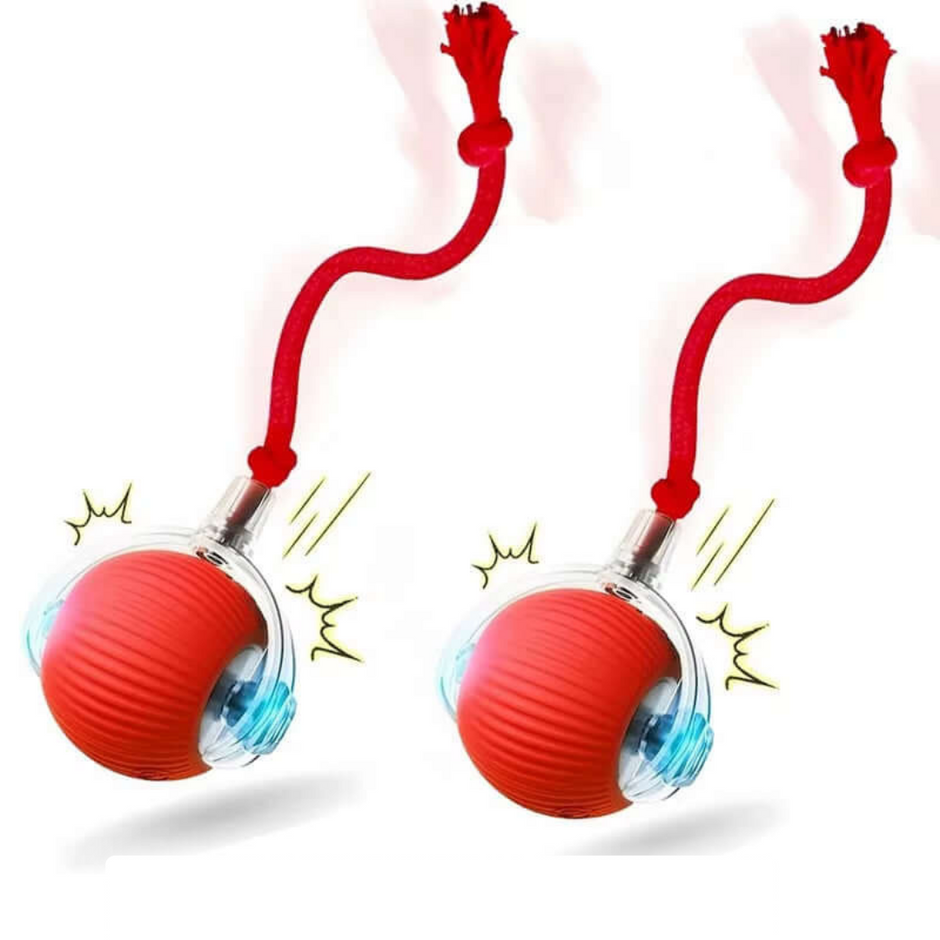 Smart Rolling Dog Ball – Rechargeable Interactive Toy