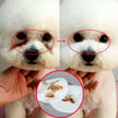 130Pcs/Set Pet Eye Wipes Dog and Cat Cleaning Wipes Pet Eye Wipes Grooming Tear Stain Remover Gentle Non-Foaming Wipes Towels