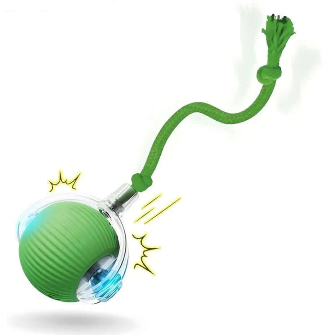 Smart Rolling Dog Ball – Rechargeable Interactive Toy