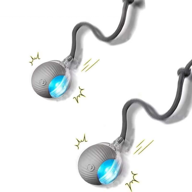 Smart Rolling Dog Ball – Rechargeable Interactive Toy