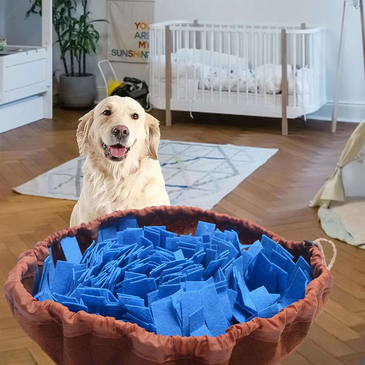 Washable Felt Pet Sniffing Pad Foldable Dog Slow Feeding Mat Toy Dog Training Snuff Mat