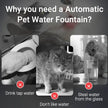 Elevate Your Pet's Drinking Experience with the Smart Cat Water Fountain - Automatic Pet Water Dispenser for Cats and Dogs!